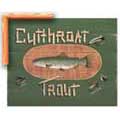 Cutthroat Trout - Framed Canvas