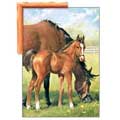 New Life - Contemporary mount print with beveled edge